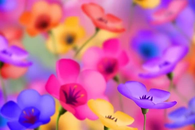 Laptop 1366x768 Flowers Wallpapers, Desktop Backgrounds HD ...