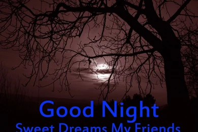 Good Night Good Night Friends Sweet Dreams HD Wallpapers Photo ...