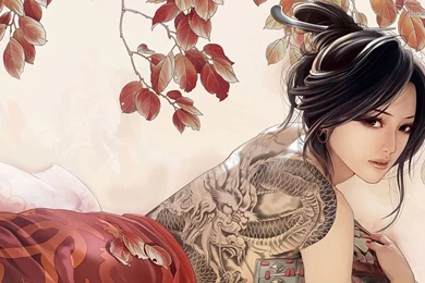 Girl With The Dragon Tattoo Wallpapers   Digital Art Wallpapers
