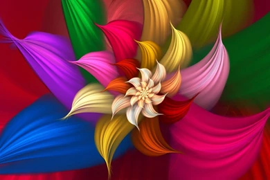 Cute Unique Art Flower   Wallpapers HD   Wallpapers HD 4K ...