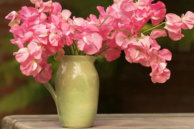 Bouquet Of Delicate Pink Flowers Hd Wallpapers