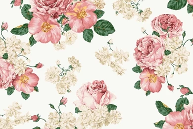 Flower Tumblr Wallpapers