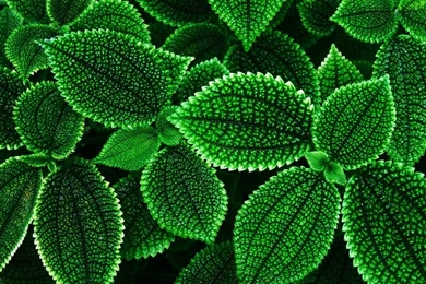 Skrillex Wallpapers Black And Blue   Invitation Templates