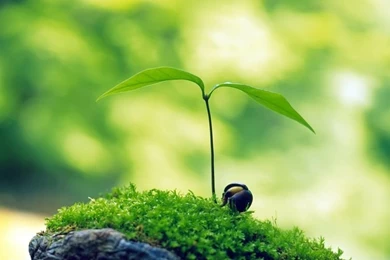 Nature Wallpapers HD Landscape Pictures