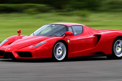 Ferrari Enzo Wallpapers