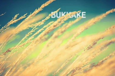 30 Offensive Wallpapers To Brighten Your Day