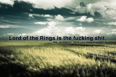 Offensive Wallpapers « Killingbirdswithstones