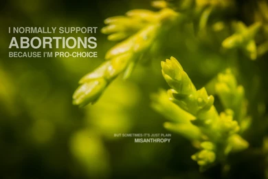 Offensive Wallpapers? How About Offensive Confession Wallpapers ...