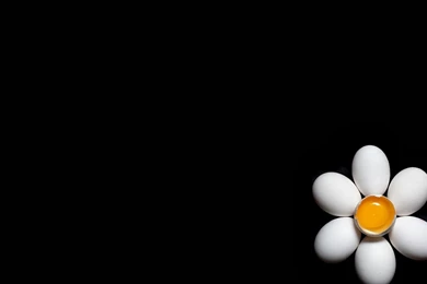 Download Egg Like Flowers Food Wallpapers Black Backgrounds HD For ...