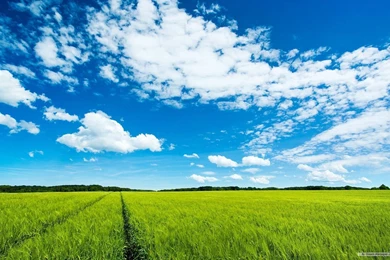 Free Wallpapers   Free Nature Wallpapers   HD Landscape 2 Wallpapers ...