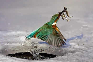 Beautiful Wallpapers For Tablets   Wallpapers High Definition