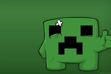 Download 1680x1050 Sad Minecraft Creeper Wallpapers