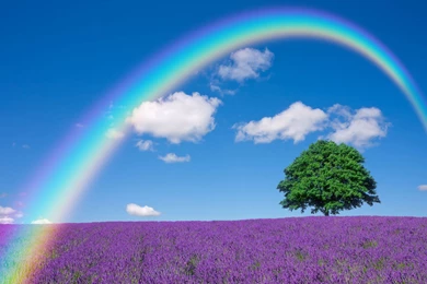 Download Rainbow Wallpapers HD Resolution