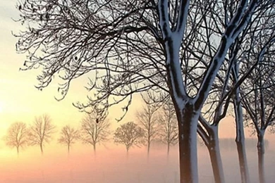 Download Wallpapers 640x960 Road, Trees, Winter, Snow, Light ...