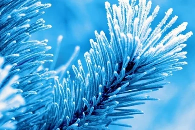 iPhone 5 Wallpapers, iPhone 5 Backgrounds