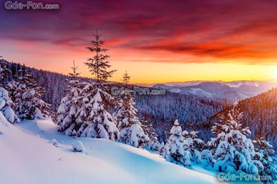 643104_zakat_zima_goryi_derevya_eli_sugrobyi_sneg_peyzaj_7256x5008_www.Gde Fon.com.jpg