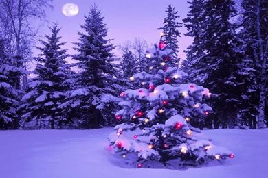 Snow Computer Wallpapers