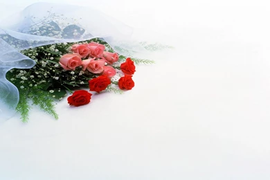 HD Wallpapers Freebie   Quality Free Download Wallpapers