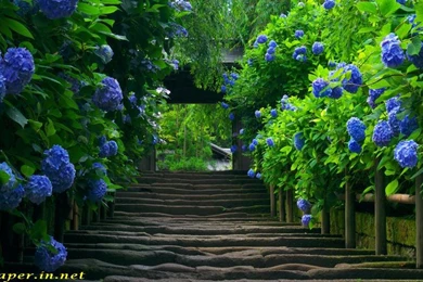 Nature Wallpapers Archives   Page 4 Of 11   Free Desktop ...