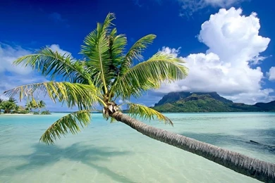 Cool Wallpapers HD Widescreen For Desktop Mobile Iphone Windowns7 ...