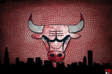 Top Bulls Wallpapers 2012 Images For Pinterest