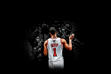 Chicago Bulls Wallpapers