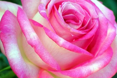 HD Wallpapers Free Download