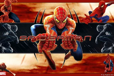 Spiderman HD Desktop Wallpapers