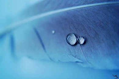 Desktop Wallpapers · Gallery · Windows 7 · Backgrounds Windows 7 ...