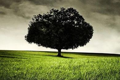 Cool iPhone 5 Wallpapers HD   The Wondrous Pics