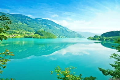 Crazy frankenstein.com/free wallpapers files/seaso...