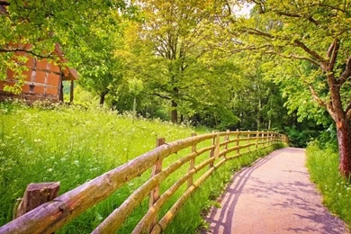 Road Shadow Fence Wood Trees Grass Green House Summer Nature ...