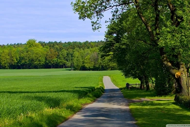 Top Summer Landscape Road Hd Images For Pinterest