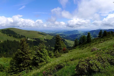 Summer Nature Wallpapers