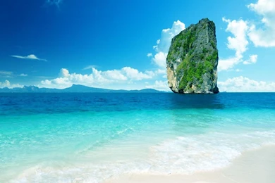 Summer Nature Wallpapers 3   Crazy Frankenstein