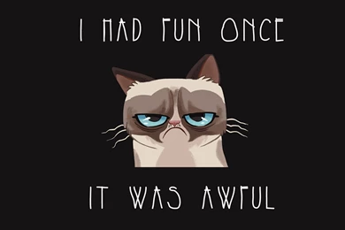 Download Wallpapers 2560x1440 Grumpy Cat, Cat, Funny, Sadness ...