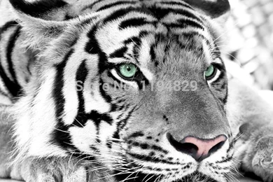 Wallpapers Girl Picture   More Detailed Picture About 3D Nature ...