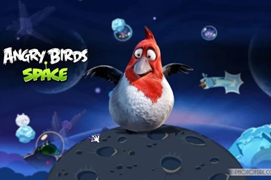 Angry Birds HD Games Wallpapers 2013