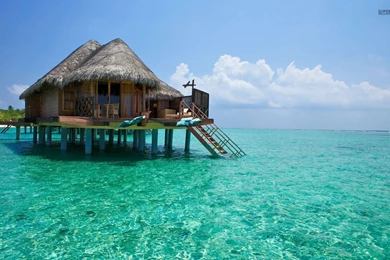 Maldive Island Wallpapers   Beach Wallpapers