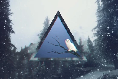 Snowy Owl Hipster Wallpapers By Me969 On DeviantArt
