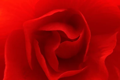 Red Wallpapers For Walls Wallpapers HD Base