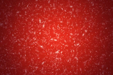 Red Snowy Christmas Backgrounds Wallpapers