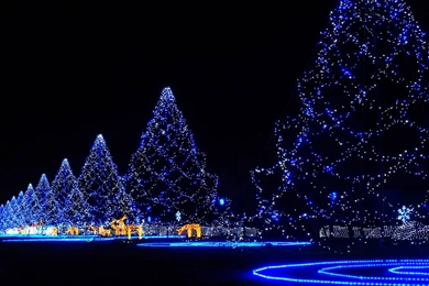 Christmas Lights Desktop Backgrounds Wallpapers Attachment 1268 ...