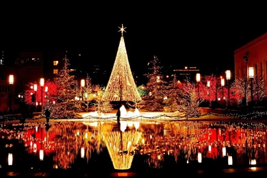 Merry Christmas HD Images Wallpapers Photos Pictures Whatsapp DP ...