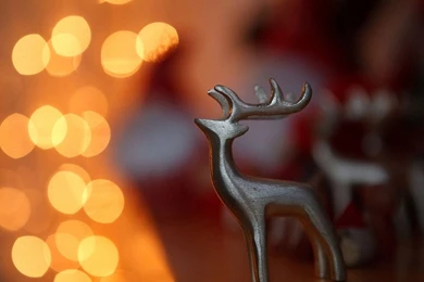 Christmas Lights Desktop Backgrounds