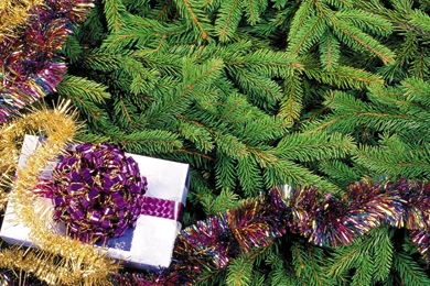 Full hd 1080 christmas tree 1920x1080.jpg