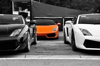 Download Cars Lamborghini Wallpapers 1680x1050