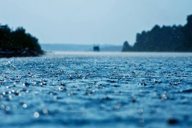 Rain Nature Hd Wallpapers 1080p Wallpapers