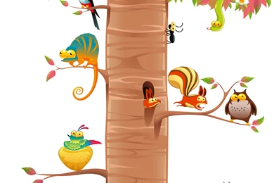 Funny Animals On Branches With White Backgrounds