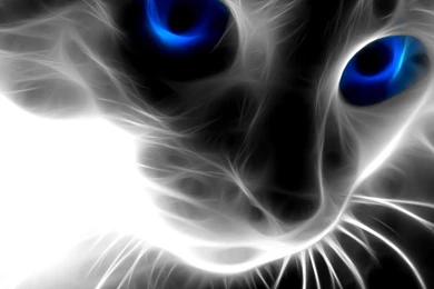 Full Hd 3D Widescreen Wallpapers (6)   Funny And Amazing Wallpapers.